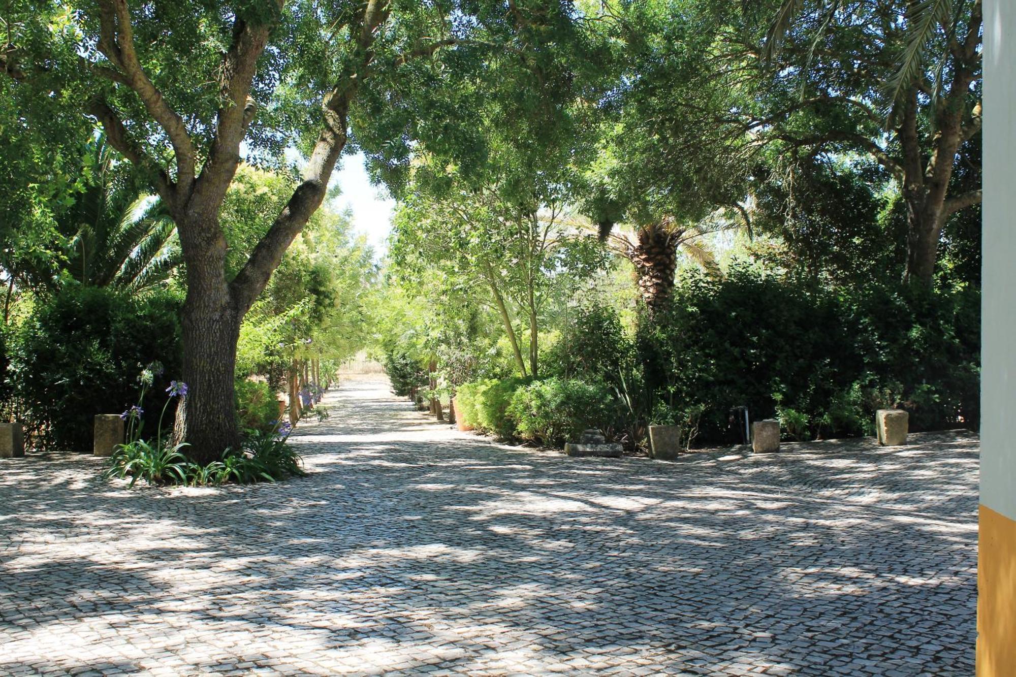 Quinta do Casal de Santo António Alenquer Exterior foto